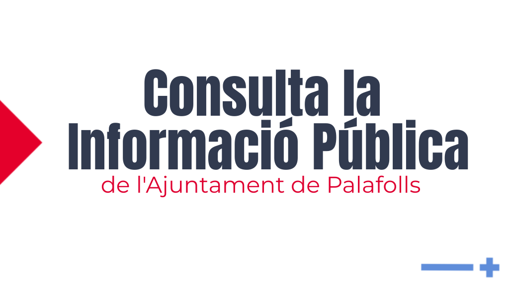 Consulta l'Informació Pública