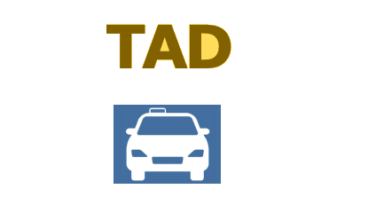 tad taxi demanda 2021