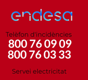 endesa-orig