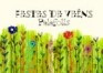 Festes1