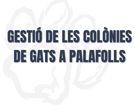 GETIO COLONINES GATS