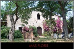 Mas florit