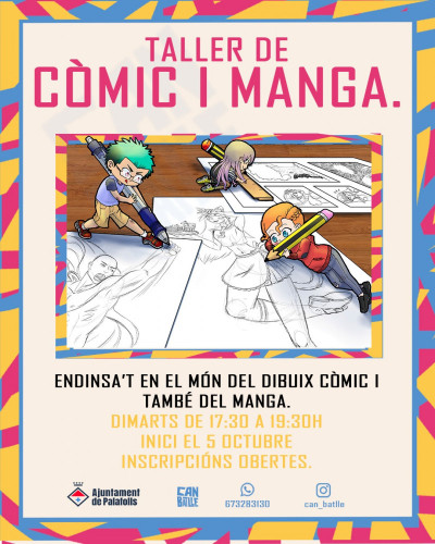 Còmic i Manga