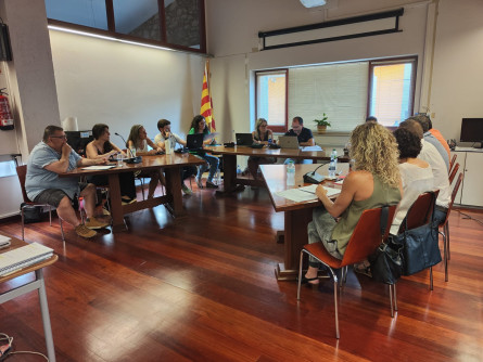 Ple extraordinari d'inici de mandat